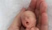 Fake foetus pic inflames Norway abortion debate