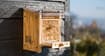 Zurich startup sells homes for raising bees