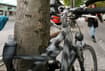 Thief in Kassel saws down tree in effort to steal €2,000 bike