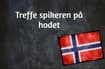 Norwegian phrase of the day: Treffe spikeren på hodet
