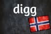 Norwegian word of the day: Digg