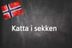 Norwegian expression of the day: Katta i sekken 