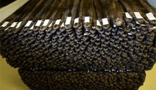 Norwegian fur farmers hold sales as prices drop