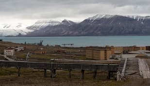 Bears stalk former Soviet Svalbard mining outpost