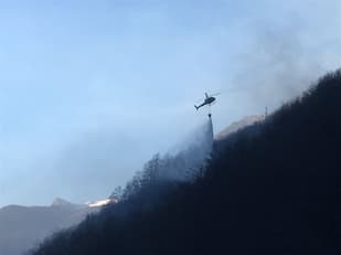 Swiss army helps win battle against forest fires