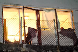Police investigate explosion at Norwegian asylum centre