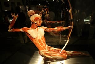 Torture fears see Lausanne ban exhibition on human bodies