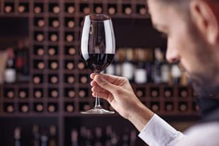 How to taste wine like a professional