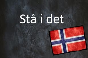 Norwegian expression of the day: Stå i det