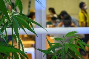 Switzerland backs recreational cannabis trials - with one condition