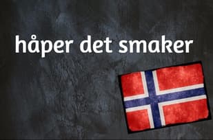 Norwegian expression of the day: Håper det smaker