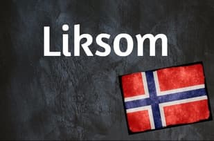 Norwegian word of the day: Liksom