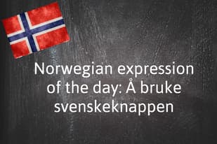 Norwegian expression of the day: Å bruke svenskeknappen 