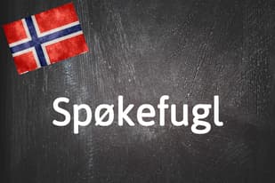 Norwegian word of the day: Spøkefugl 