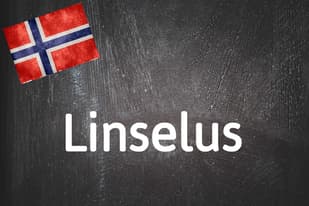 Norwegian word of the day: Linselus 
