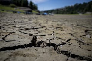 Water flown in by helicopter: How Switzerland has been hit by drought
