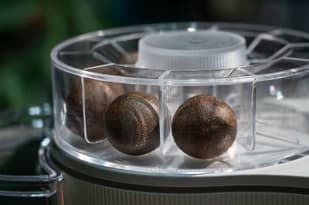 'Compostable coffee balls': Swiss retailer Migros to take on Nespresso