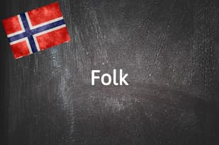 Norwegian word of the day: Folk 