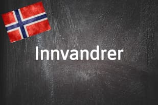 Norwegian word of the day: Innvandrer 