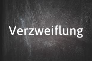 German word of the day: Verzweiflung