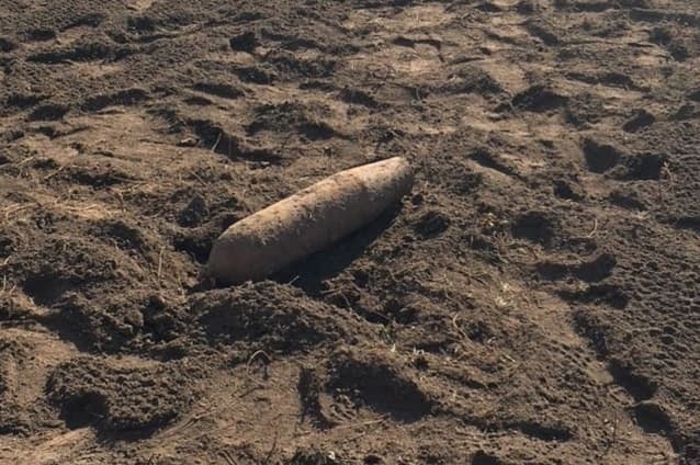 Zurich residents evacuated after gardeners find WW2 bomb