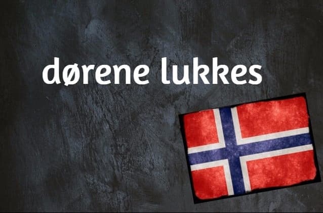Norwegian word of the day: dørene lukkes