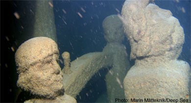 TV crew discovers 17th century shipwreck