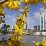The art of discovering Frankfurt