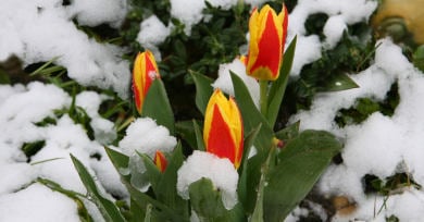 Storm to bring wintry Easter weekend