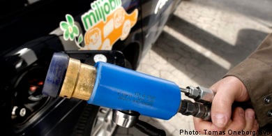 Green-car subsidy to get fresh injection