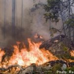 Forest fire ‘out of control’