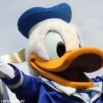 Swedish ‘Donald Duck’ comic fetches thousands