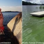 Summer warmth brings algae threat