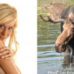 Elks and blondes shape Sweden’s image abroad