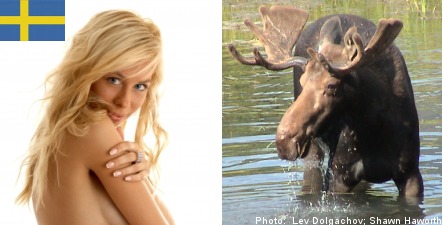 Elks and blondes shape Sweden’s image abroad