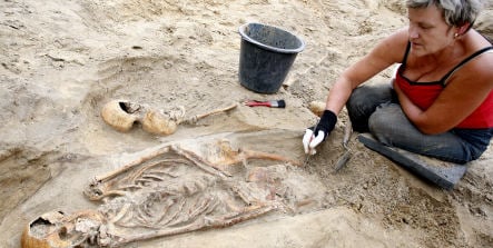 Archaeologists find more than 2,000 skeletons under Berlin