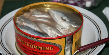Swedish prison: fermented herring a ‘security risk’