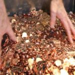German man protests legal fine by paying 62 kilos in coins