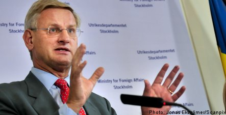 ‘More pro-democracy aid to Russia’: Bildt