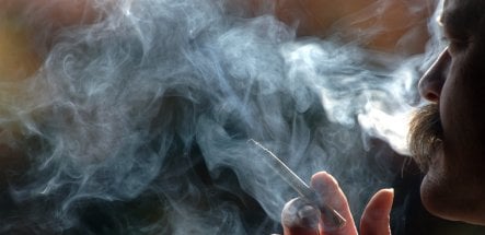 Medical association calls smoking an illness