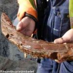 Swedish archaeologists find Iron Age wooden artifacts