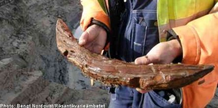 Swedish archaeologists find Iron Age wooden artifacts