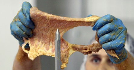 Bavarian slaughter house shut down in rotten meat scandal