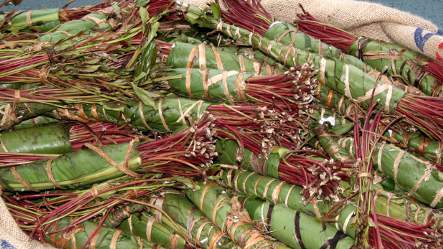 Man arrested with 300 kilos of chewing drug Khat