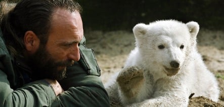 Auction of late Knut zookeeper’s effects sparks ugly family fight