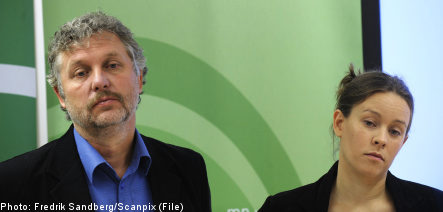 Green party leaders to resign after election