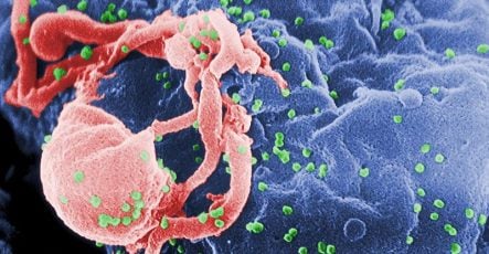 HIV infection risk dependent on blood type: Swedish researchers