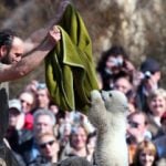 Memorabilia auction from Knut zookeeper Dörflein makes €7,000