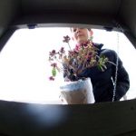 Artists create baby hatch for unwanted plants