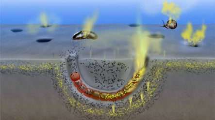 Farting underwater creatures release greenhouse gases